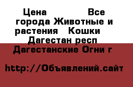 Zolton › Цена ­ 30 000 - Все города Животные и растения » Кошки   . Дагестан респ.,Дагестанские Огни г.